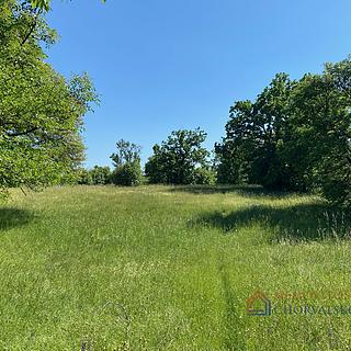 Prodej stavební parcely, 1227m²