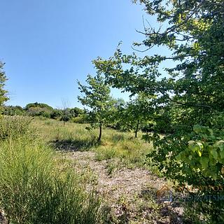 Prodej stavební parcely, 1880m²