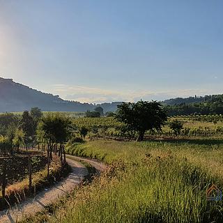 Prodej stavební parcely, 926m²