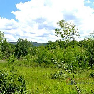 Prodej stavební parcely, 3645m²