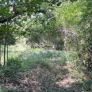 Prodej stavební parcely, 3380m²