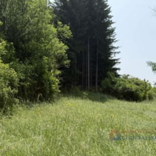 Prodej stavební parcely, 746m²