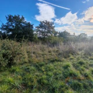 Prodej stavební parcely, 794m²