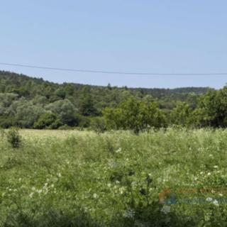 Prodej stavební parcely, 3982m²