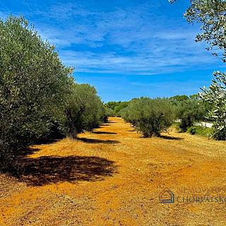 Prodej stavební parcely, 3060m²