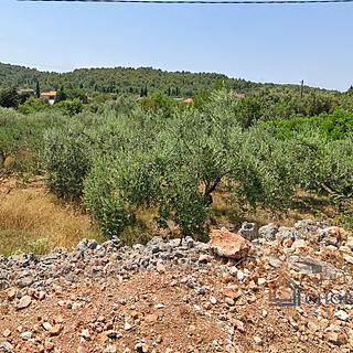 Prodej stavební parcely, 1123m²