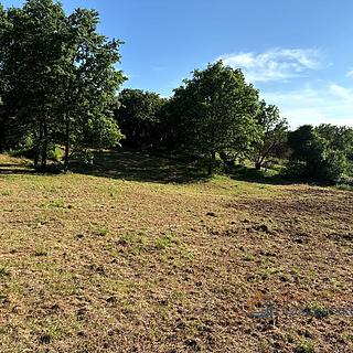 Prodej stavební parcely, 1227m²