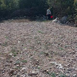 Prodej stavební parcely, 170m²