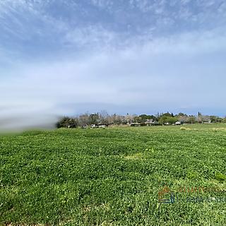 Prodej stavební parcely, 10000m²