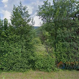 Prodej stavební parcely, 3600m²