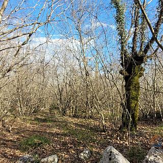 Prodej stavební parcely, 6600m²