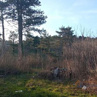 Prodej stavební parcely, 3140m&sup2;