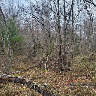 Prodej stavební parcely, 14858m²