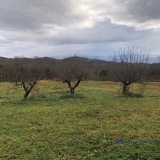 Prodej stavební parcely, 800m²