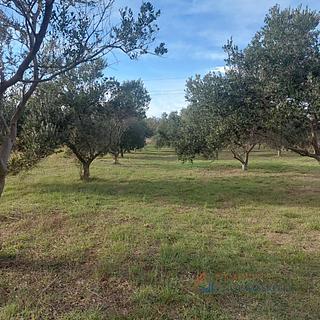 Prodej stavební parcely, 2003m²