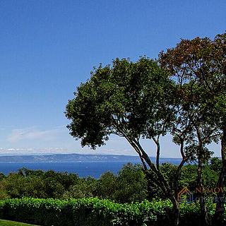 Prodej stavební parcely, 1771m²