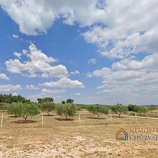 Pronájem stavební parcely, 6000m²