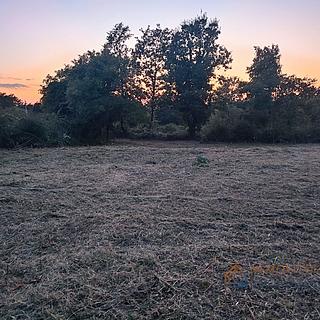 Prodej stavební parcely, 990m²