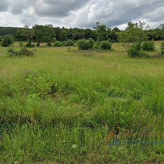 Prodej stavební parcely, 1250m²