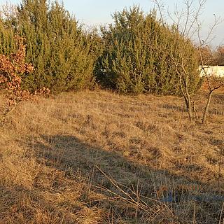 Prodej stavební parcely, 3710m²