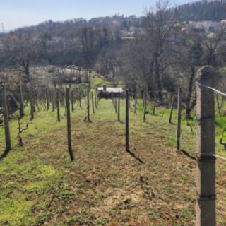 Prodej stavební parcely, 668m²