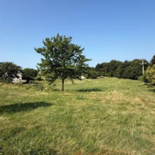 Prodej stavební parcely, 733m²