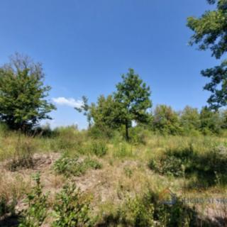 Prodej stavební parcely, 950m²