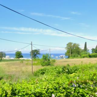 Prodej stavební parcely, 2535m²