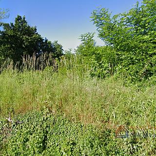 Prodej stavební parcely, 756m²