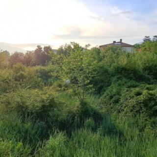 Prodej stavební parcely, 1441m²