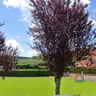 Prodej stavební parcely, 2850m&sup2;