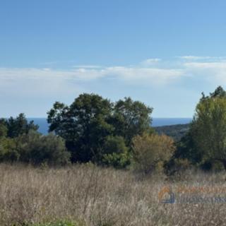 Prodej stavební parcely, 620m²