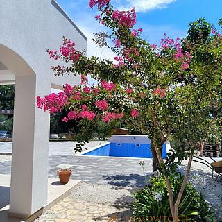 Prodej bytu 2+kk, 130m²