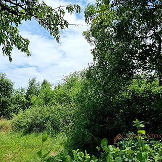 Prodej stavební parcely, 1445m²