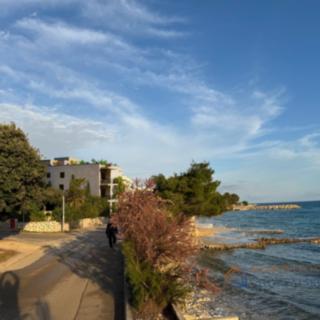 Prodej bytu 1+kk, garsoniery, 104m²