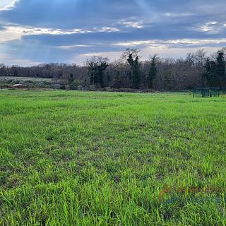 Prodej stavební parcely, 708m²