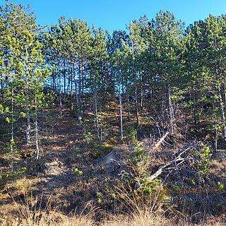 Prodej stavební parcely, 1047m²