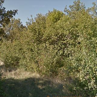 Prodej stavební parcely 1 313 m² v Chorvatsku