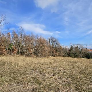 Prodej stavební parcely, 800m²