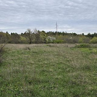 Prodej stavební parcely, 305m²