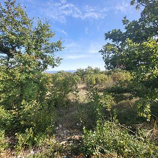 Prodej stavební parcely, 870m²