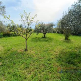 Prodej stavební parcely, 900m²