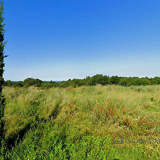 Prodej stavební parcely, 5835m²