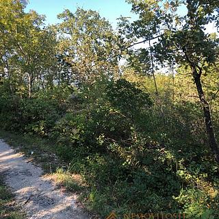 Prodej stavební parcely, 3649m²