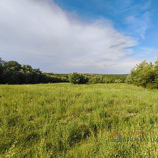 Prodej stavební parcely, 12600m²