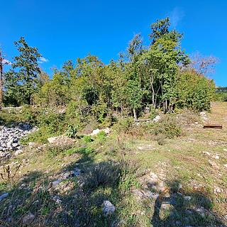 Prodej stavební parcely, 6100m²