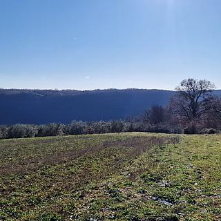 Prodej stavební parcely, 22440m²