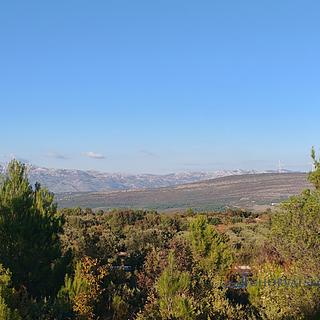 Prodej stavební parcely, 458m²