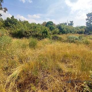 Prodej stavební parcely, 1610m²