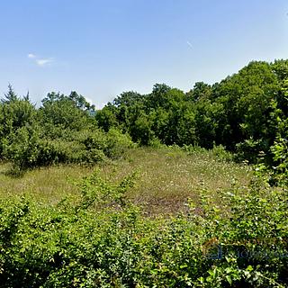 Prodej stavební parcely, 1253m²